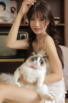 西出玉门电视剧免费观看完整版